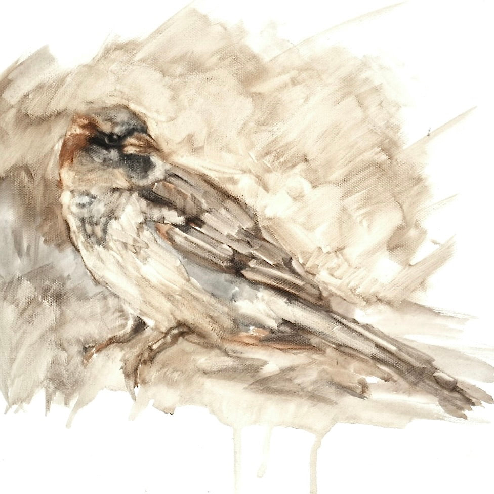 Birds on The Ground