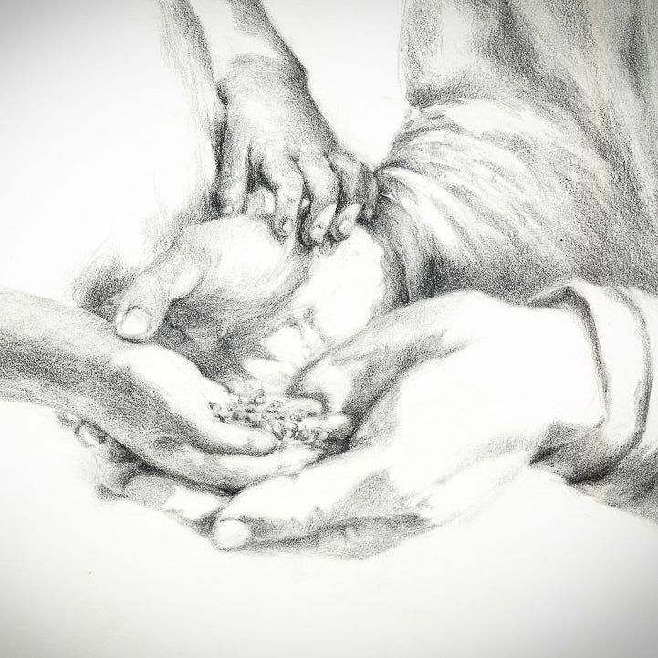 Seeds Of Promise