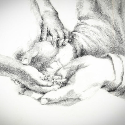 Seeds Of Promise
