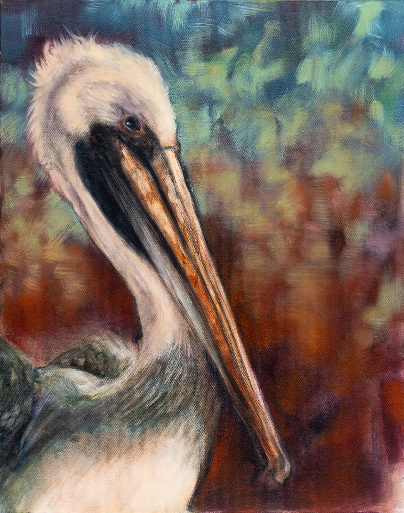 The Pelican