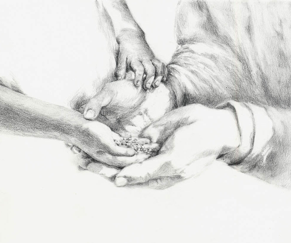 Seeds of Promise